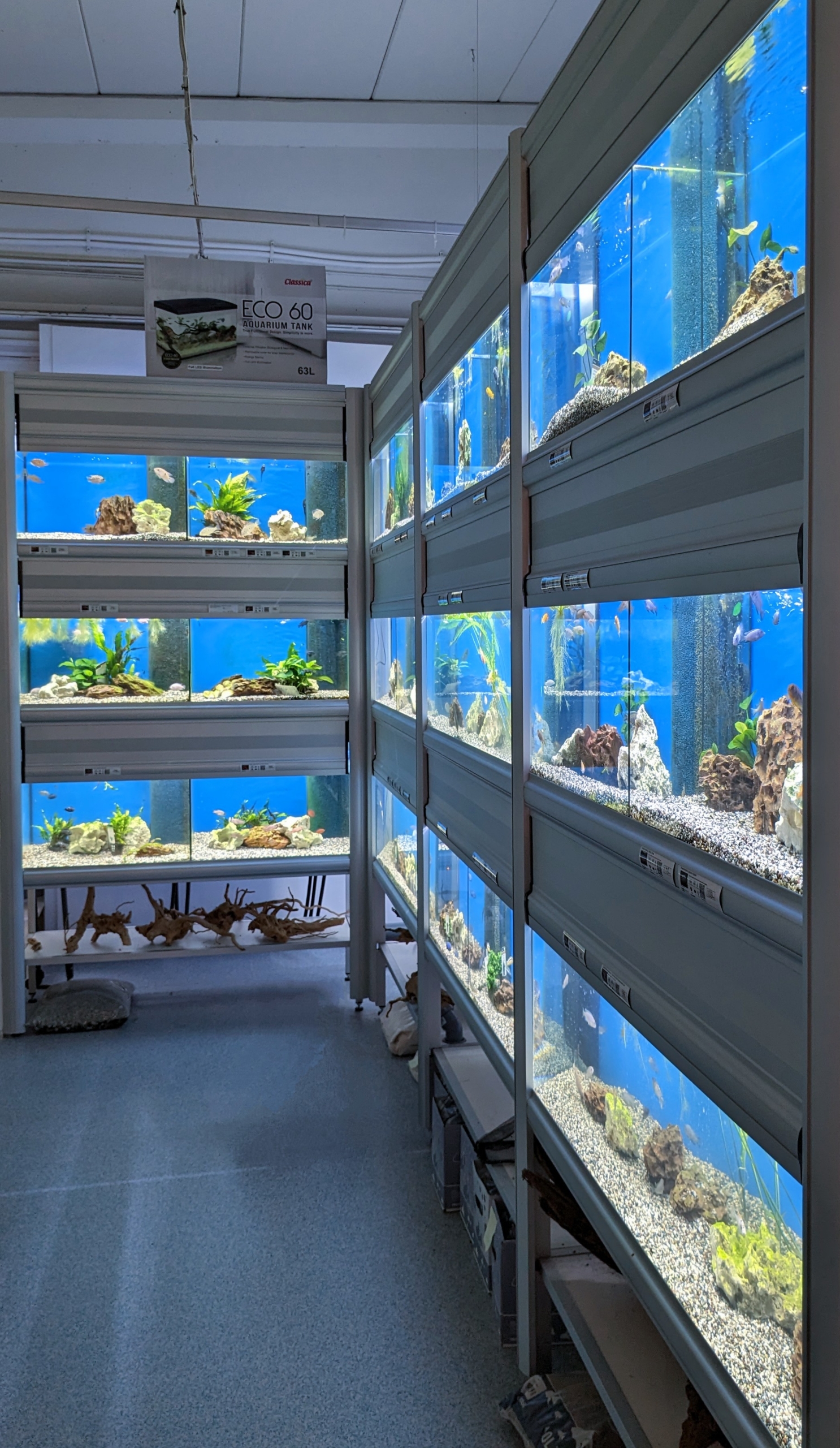 PXL_20231121_101319401~2