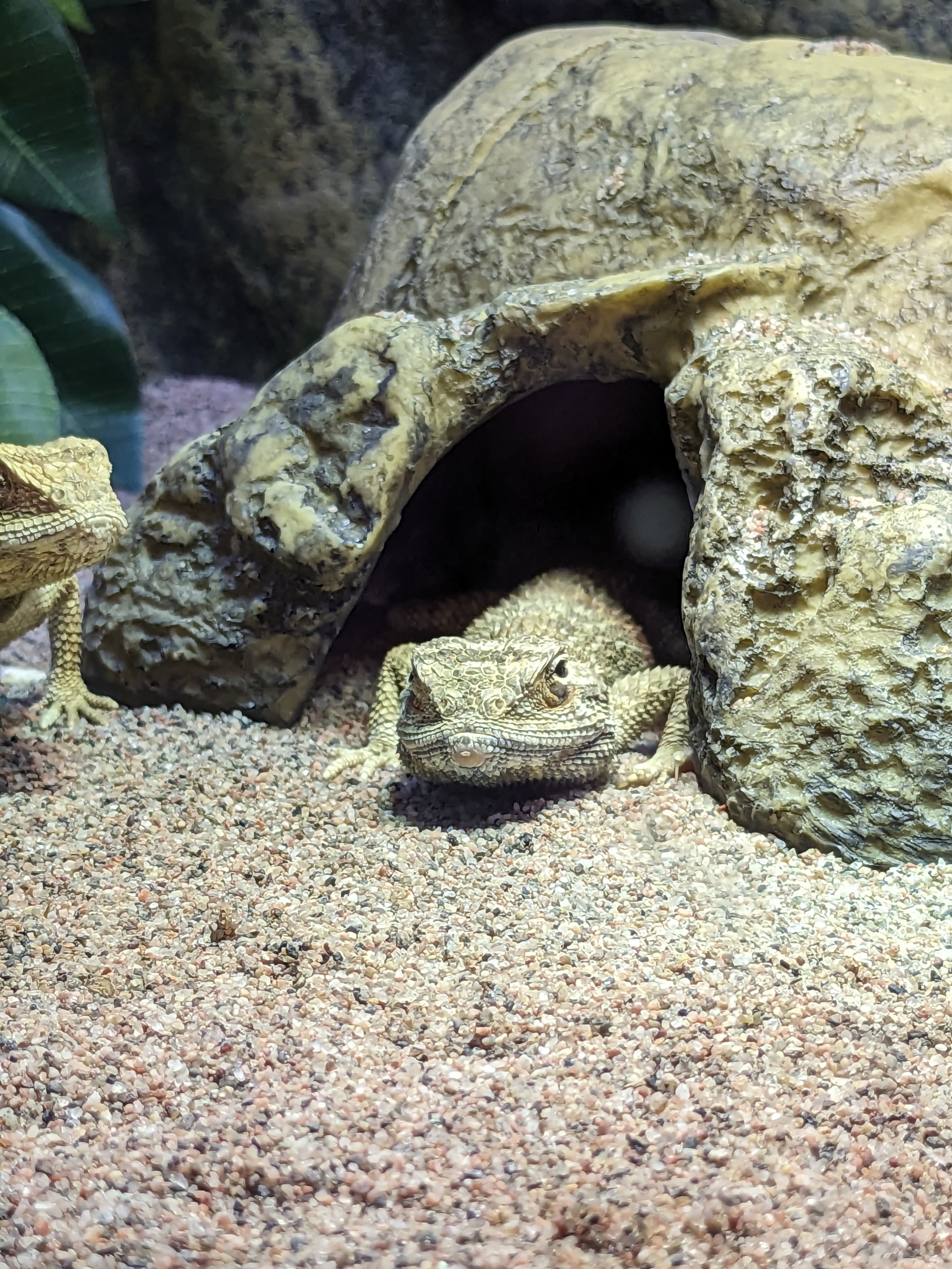 PXL_20231121_101602930