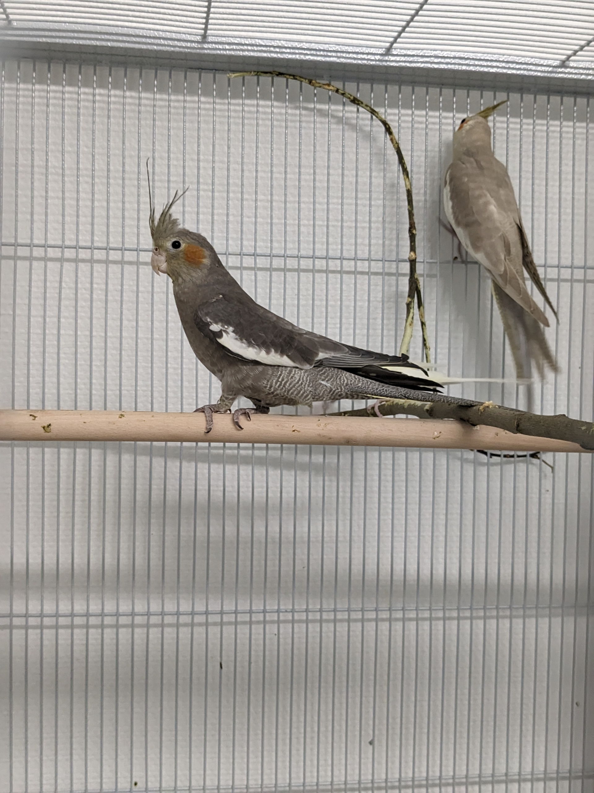 PXL_20231121_102344160.MP